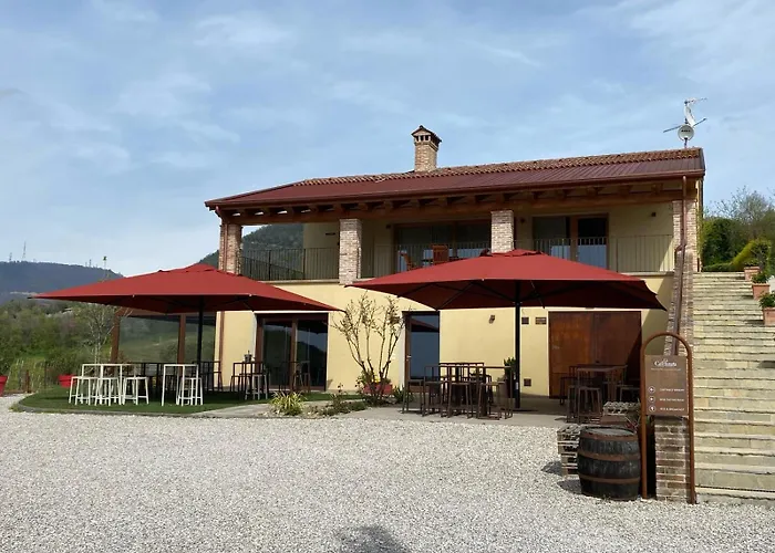 Azienda Agricola Ca' Lunga Cinto Euganeo